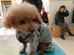 -美联众合动物医院·24h京西诊疗中心