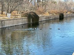 -元大都城垣遗址公园