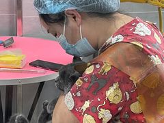 -宠福鑫康馨动物医院·骨科·眼科