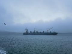 -海驴岛(荣成市)