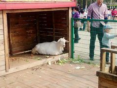 -长白岛森林公园