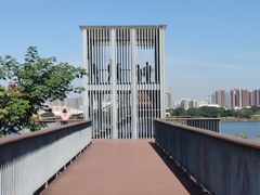 -立新湖公园
