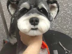 -宠物家(角门东店)