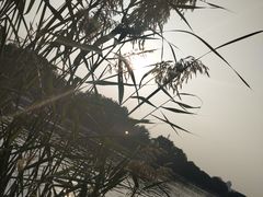 -后海公园