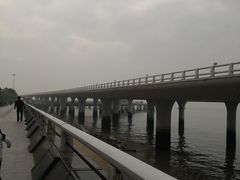 -演武大桥观景平台