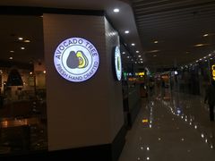 -油梨树 AVOCADO TREE(亮马桥店)