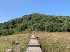 -白草畔自然风景区