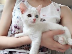 -宠颐生中康贝怡动物医院
