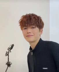 -YESIDO椰岛造型