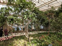 -石家庄市植物园