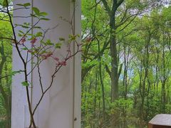 -全季酒店(重庆李子坝牛角沱地铁站店)