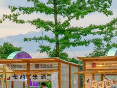 -良渚古城遗址公园