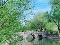 -上海共青森林公园