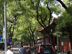 -北京国子监胡同