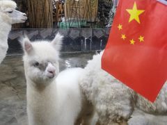 -上海大自然野生昆虫馆(东方明珠·爬宠昆虫探索中心)