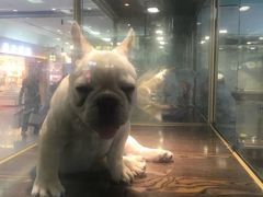 -乐宠宠物店(世纪金源店)