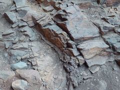 -中国第四纪冰川遗迹陈列馆