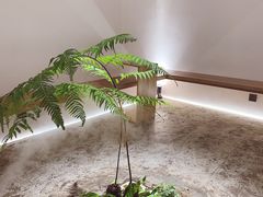 -光作面包Voila Lumiere(中山店)