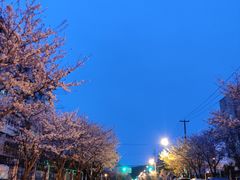 -永乐路-路侧停车场