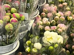 -盒马鲜生(皇庭广场店)