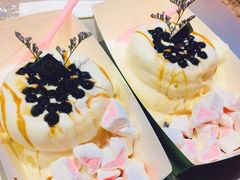 黑糖珍珠梳乎厘-狐狸和向日葵(北京路店)
