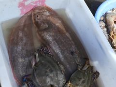 -红星码头
