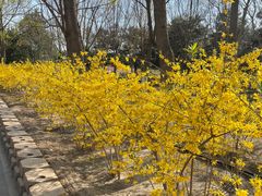 -大兴滨河森林公园