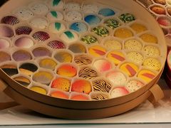 -谢列梅捷沃国际机场