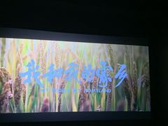 -幸福蓝海国际影城(苏州凤凰店)