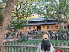 -普陀山风景名胜区-法雨禅寺