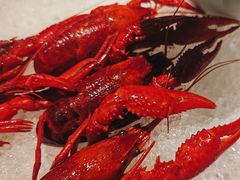 -舞虾小说.涮肉.烧烤(国顺东路店)