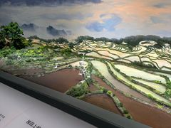 -中国湿地博物馆