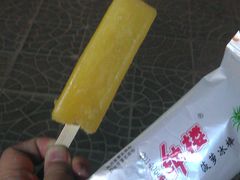 -滚雪球小奶糕