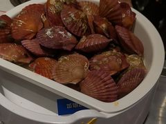 -龍歌自助小火锅(芝罘万达店)
