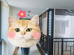 -苏州香山国际大酒店