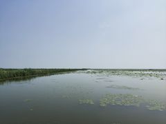 -焦岗湖旅游度假区
