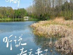 -昆山城市生态森林公园