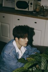 点击看大图 -WAVE SODA摄影工作室