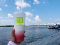 霸气芝士水蜜桃-奈雪的茶(百盛店)