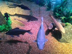 -沈阳海洋探索中心