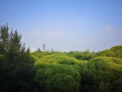 -天津燕园国际大酒店