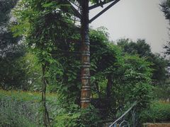 -钟山体育运动公园