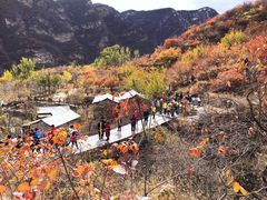 -北京凤凰岭
