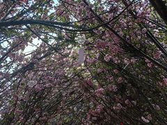 -鹅滋道(甘坑古镇店)