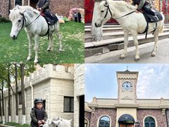 -J Create城市露营咖啡·简餐·宠物(上海动物园店)