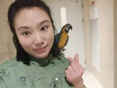 -大班家政月嫂育儿嫂(总部店)