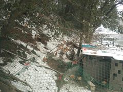 -天怡·鱼工厂(梅溪湖店)