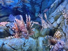 -成都浩海立方海洋公园