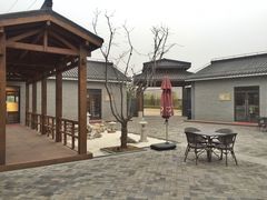 -菊园百果园