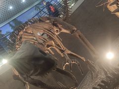 -国家自然博物馆